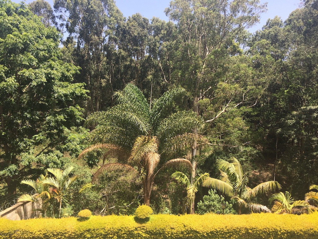 3 bedroom furnished apartments off Peponi Road