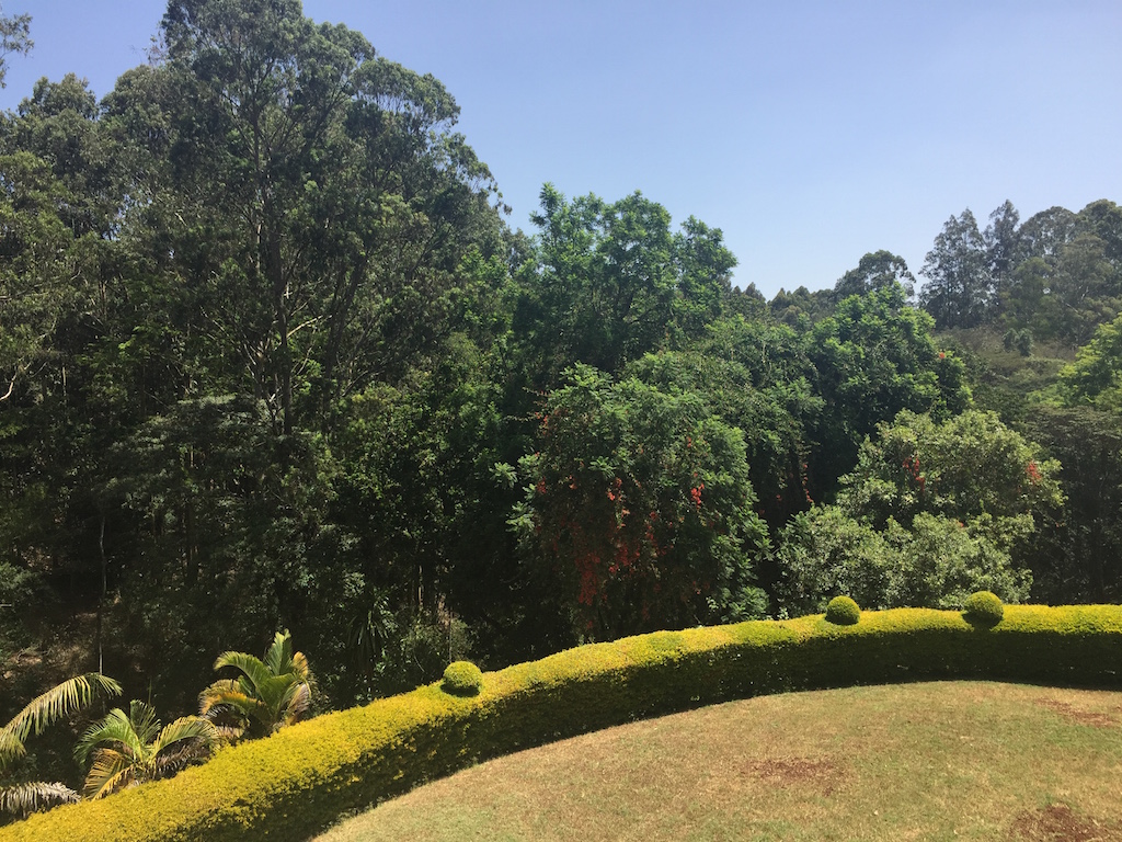 3 bedroom furnished apartments off Peponi Road