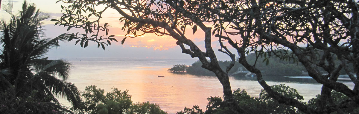 STUNNING 7 ACRE PROPERTY ON MTWAPA CREEK FOR SALE