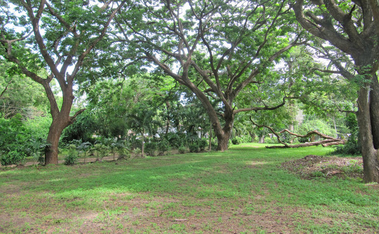 STUNNING 7 ACRE PROPERTY ON MTWAPA CREEK FOR SALE
