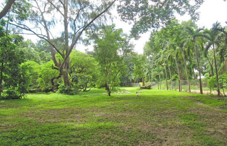 STUNNING 7 ACRE PROPERTY ON MTWAPA CREEK FOR SALE