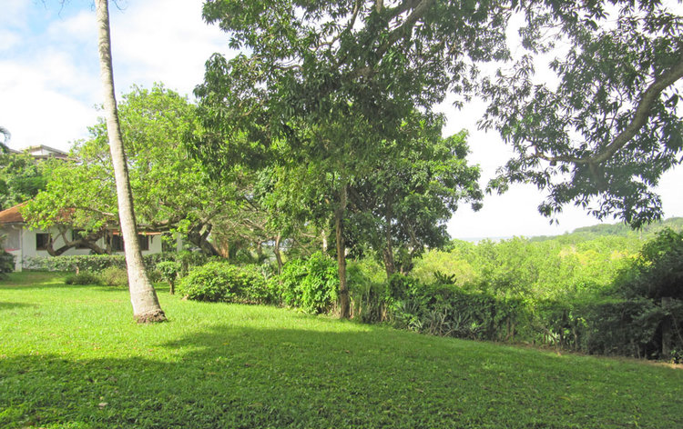 STUNNING 7 ACRE PROPERTY ON MTWAPA CREEK FOR SALE
