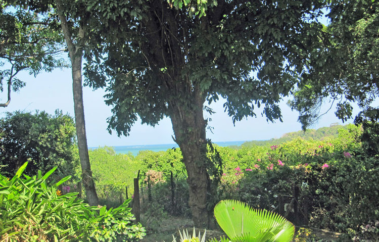 STUNNING 7 ACRE PROPERTY ON MTWAPA CREEK FOR SALE