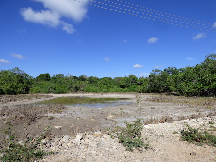 2 x 1 acre plots on 2nd row adjacent to a public beach access road