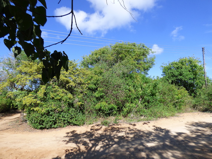 2 x 1 acre plots on 2nd row adjacent to a public beach access road