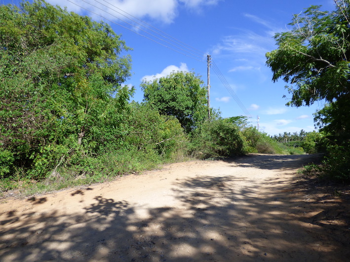 2 x 1 acre plots on 2nd row adjacent to a public beach access road
