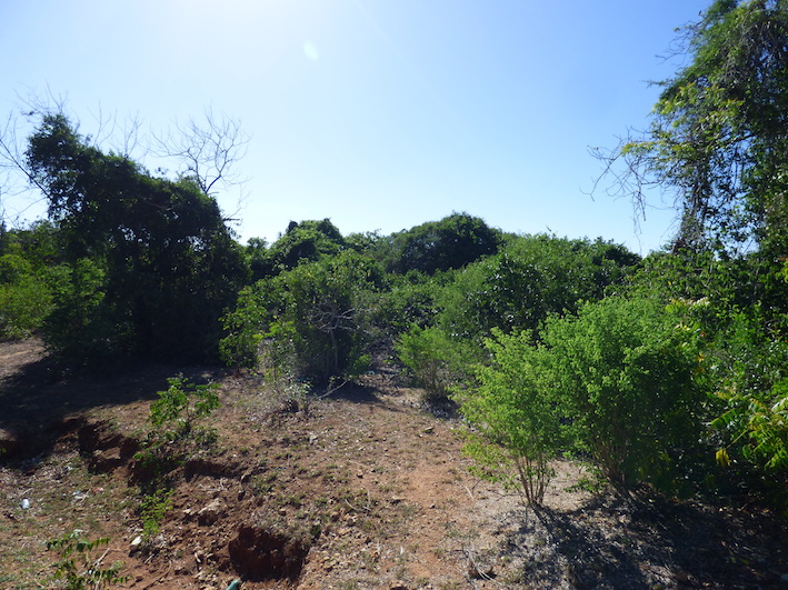 2 x 1 acre plots on 2nd row adjacent to a public beach access road