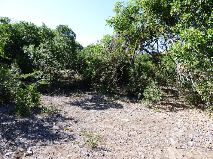 2 x 1 acre plots on 2nd row adjacent to a public beach access road