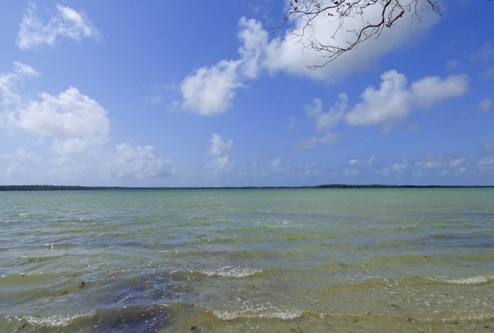 6.1 ACRES OF CREEKFRONT LAND, NORTH OF MIDA CREEK