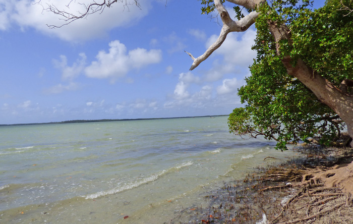 6.1 ACRES OF CREEKFRONT LAND, NORTH OF MIDA CREEK