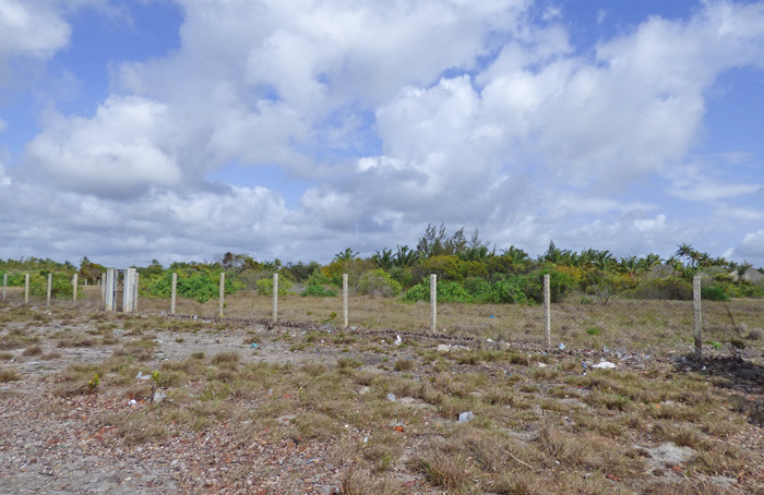 6.1 ACRES OF CREEKFRONT LAND, NORTH OF MIDA CREEK