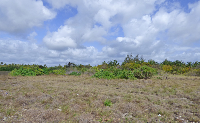 6.1 ACRES OF CREEKFRONT LAND, NORTH OF MIDA CREEK