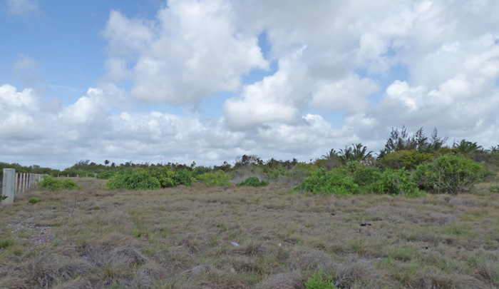 6.1 ACRES OF CREEKFRONT LAND, NORTH OF MIDA CREEK