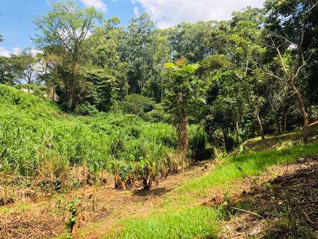 1 Acre Plot in the Heart of Kitisuru with Mature Indigenous Trees