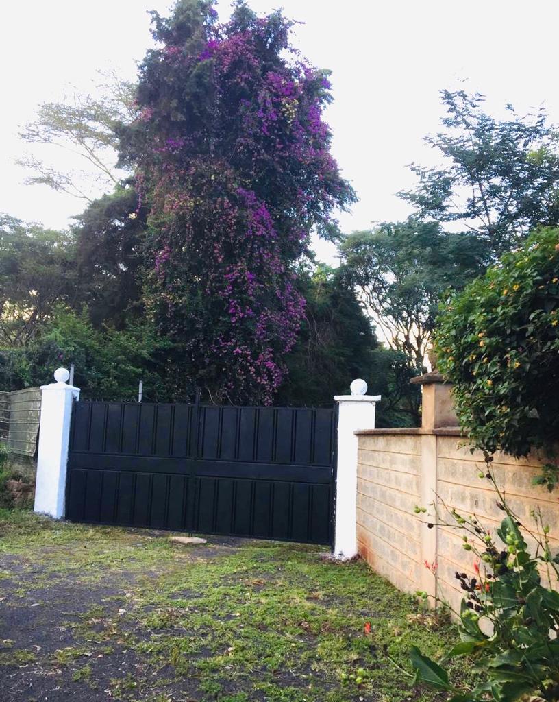 1 Acre Plot in the Heart of Kitisuru with Mature Indigenous Trees