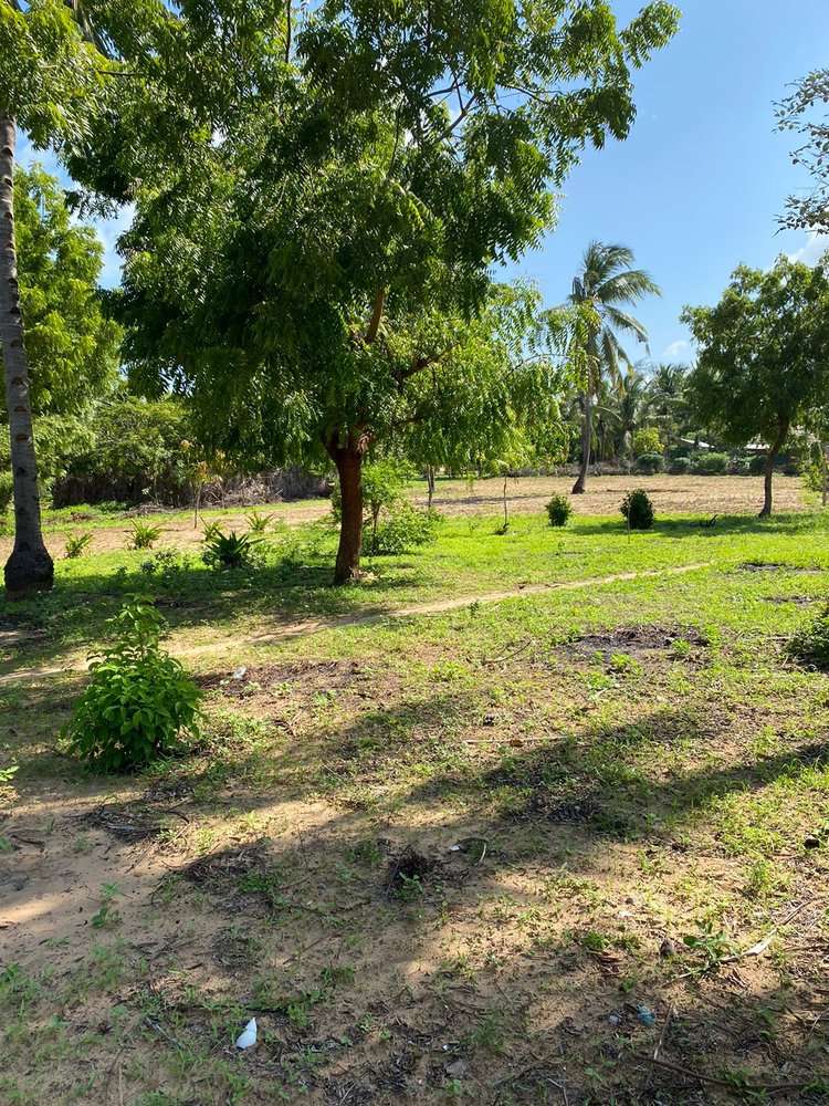 HALF ACRE UNDEVELOPED PLOT CLOSE TO TURTLE BAY FOR SALE