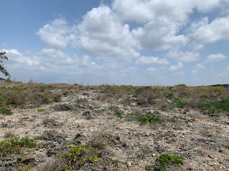 BEACHFRONT PLOT IN JACARANDA
