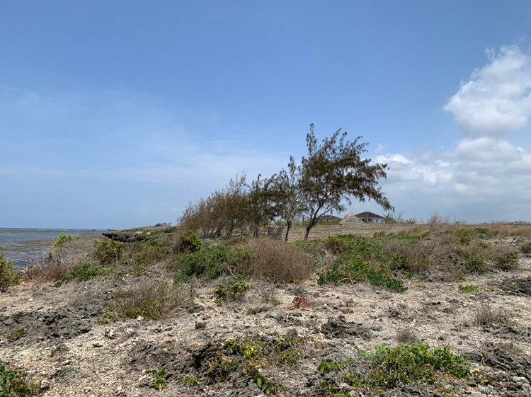 BEACHFRONT PLOT IN JACARANDA