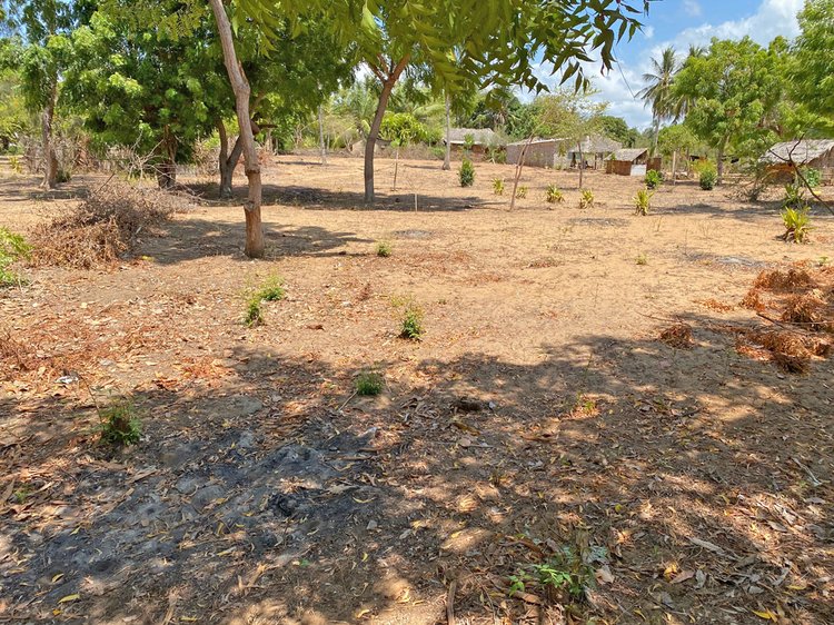 HALF ACRE UNDEVELOPED PLOT CLOSE TO TURTLE BAY FOR SALE