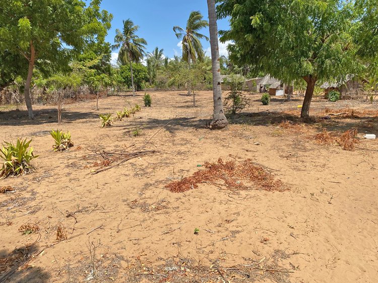 HALF ACRE UNDEVELOPED PLOT CLOSE TO TURTLE BAY FOR SALE