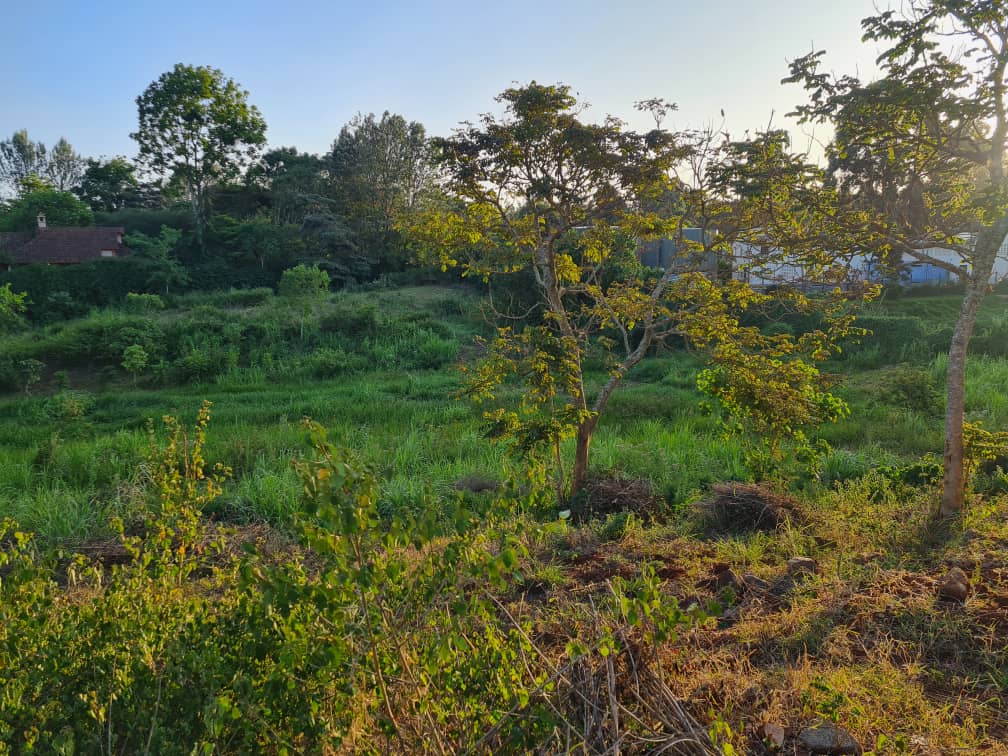 A 1 acre plot in Runda for sale