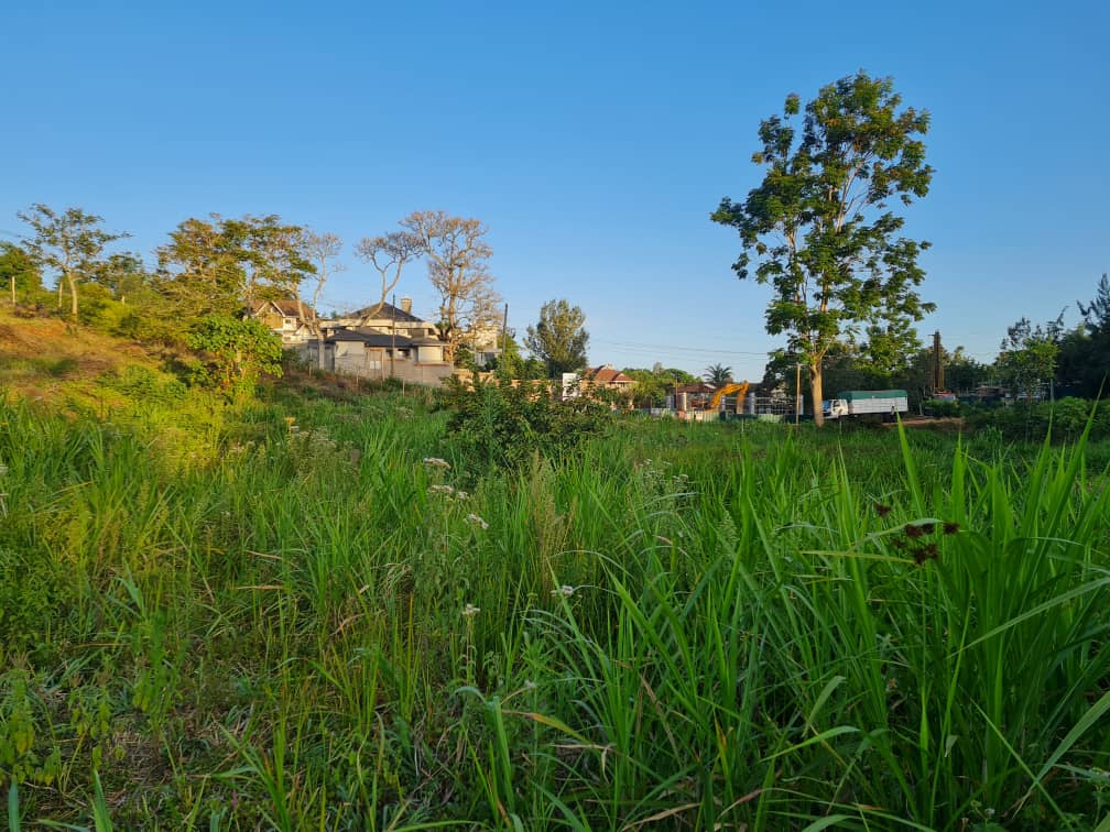 A 1 acre plot in Runda for sale