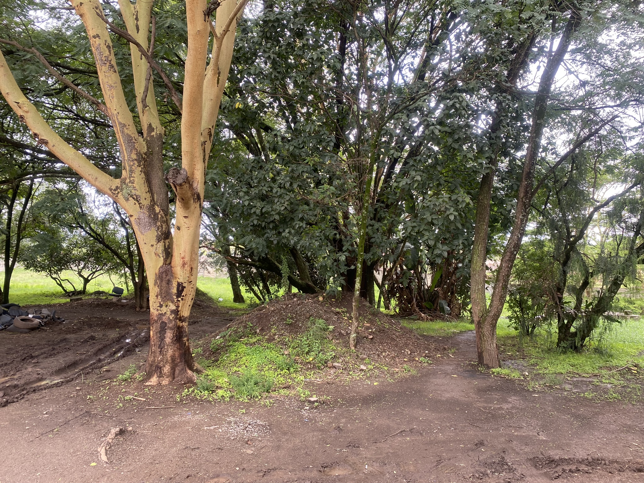A prime 2 Acre development plot in Bulbul area fronting Ngong Road with commercial and Residential user.