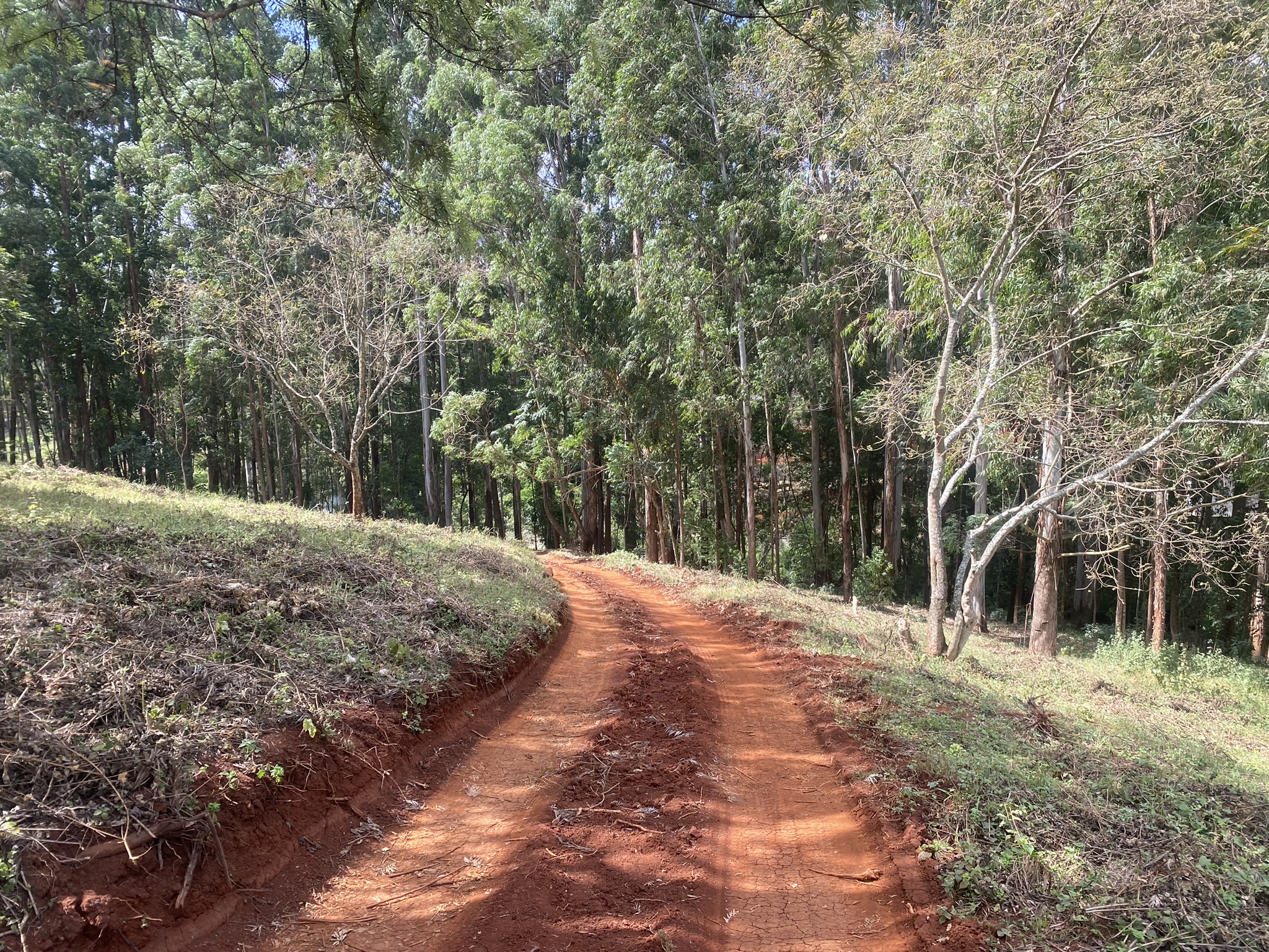 A scenic 7.98-Acre development site off Red Hill Road