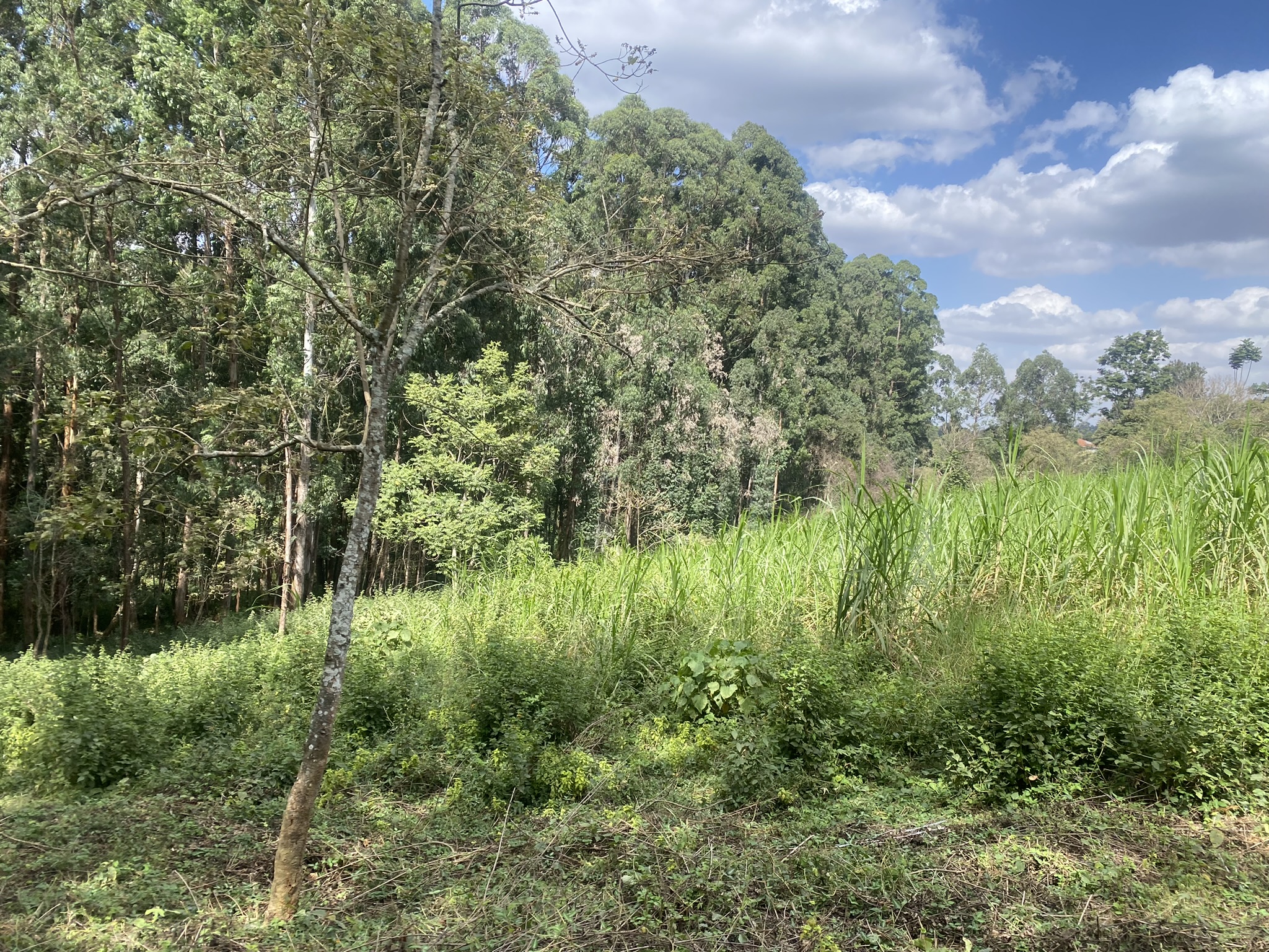 A scenic 7.98-Acre development site off Red Hill Road