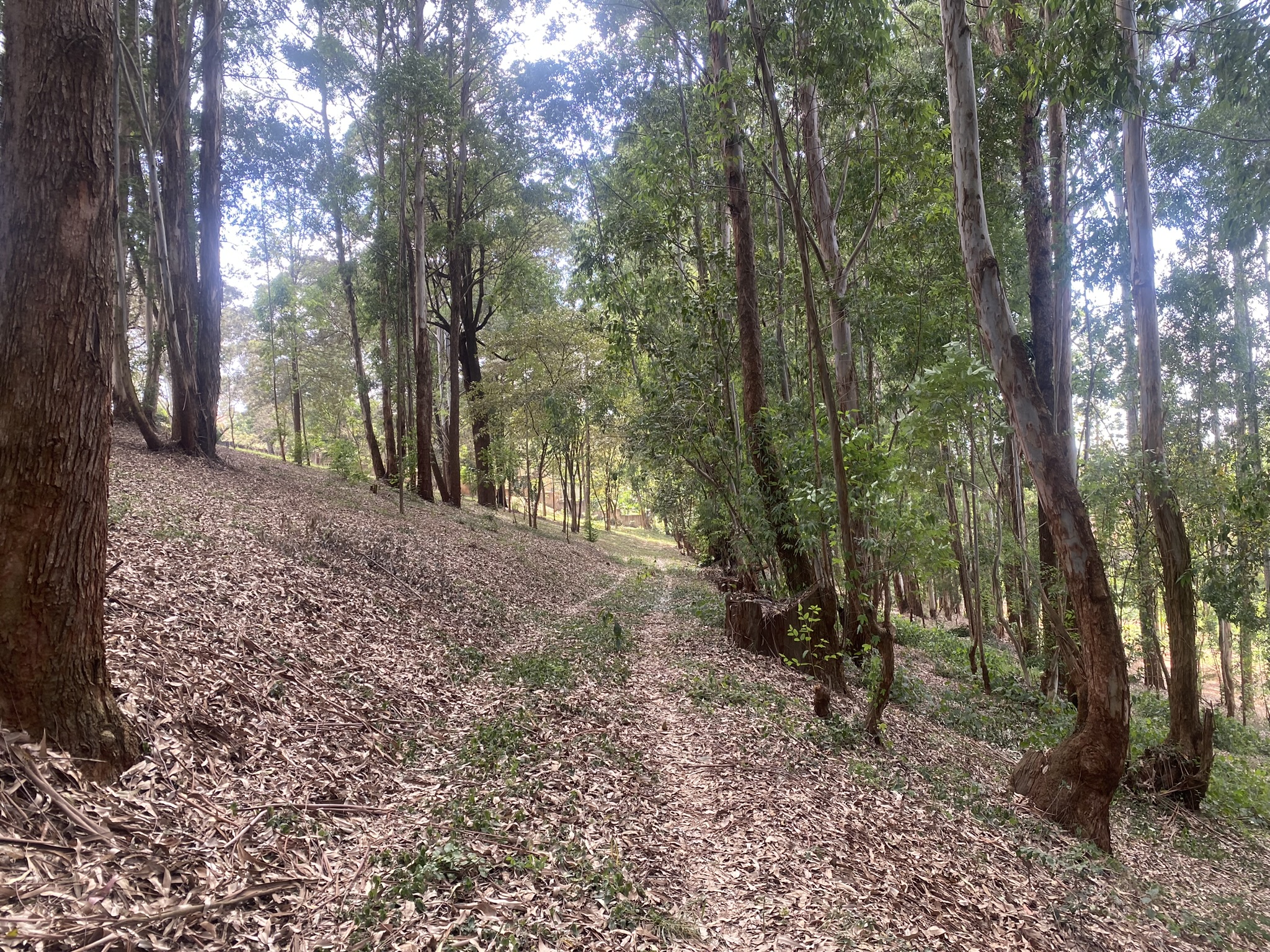 A scenic 7.98-Acre development site off Red Hill Road