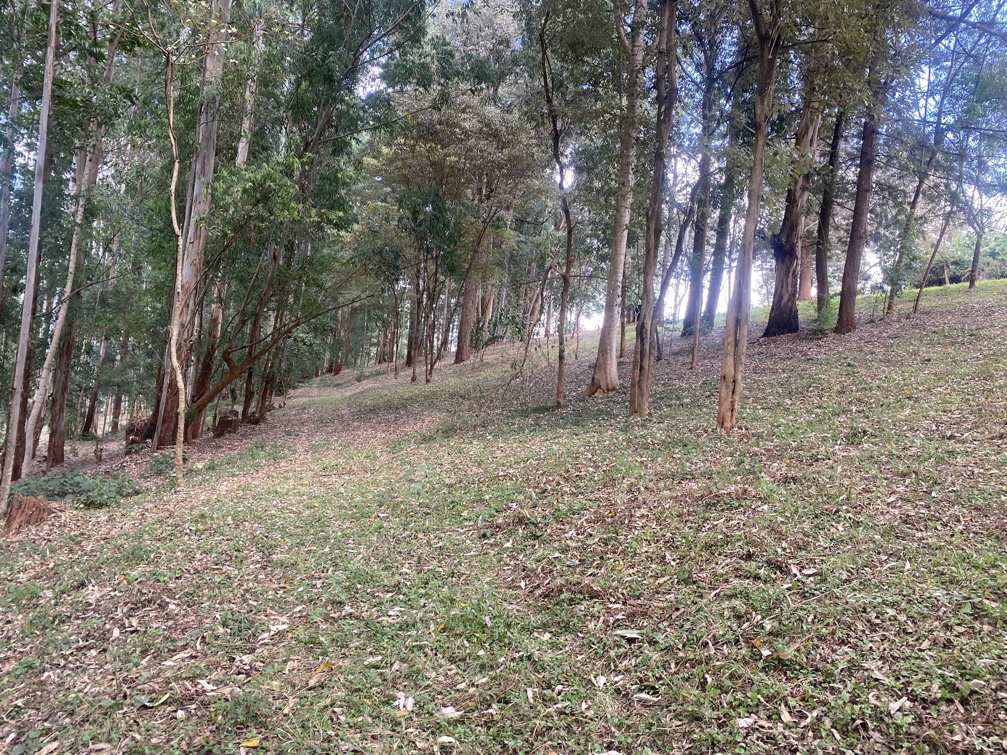 A scenic 7.98-Acre development site off Red Hill Road