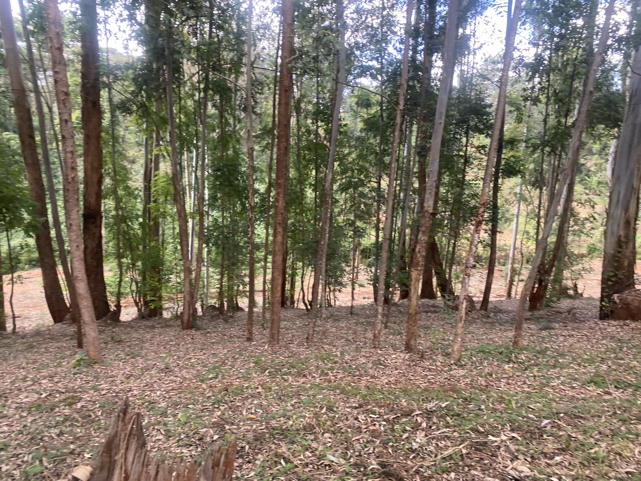 A scenic 7.98-Acre development site off Red Hill Road