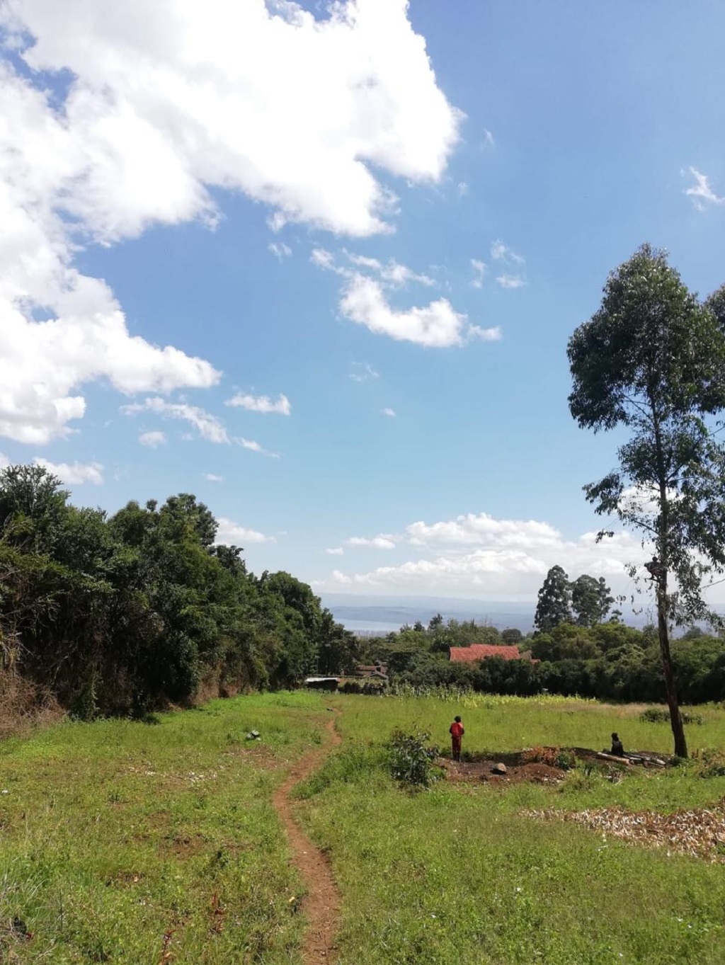 Beautiful 1-acre residential land in Milimani, Nakuru