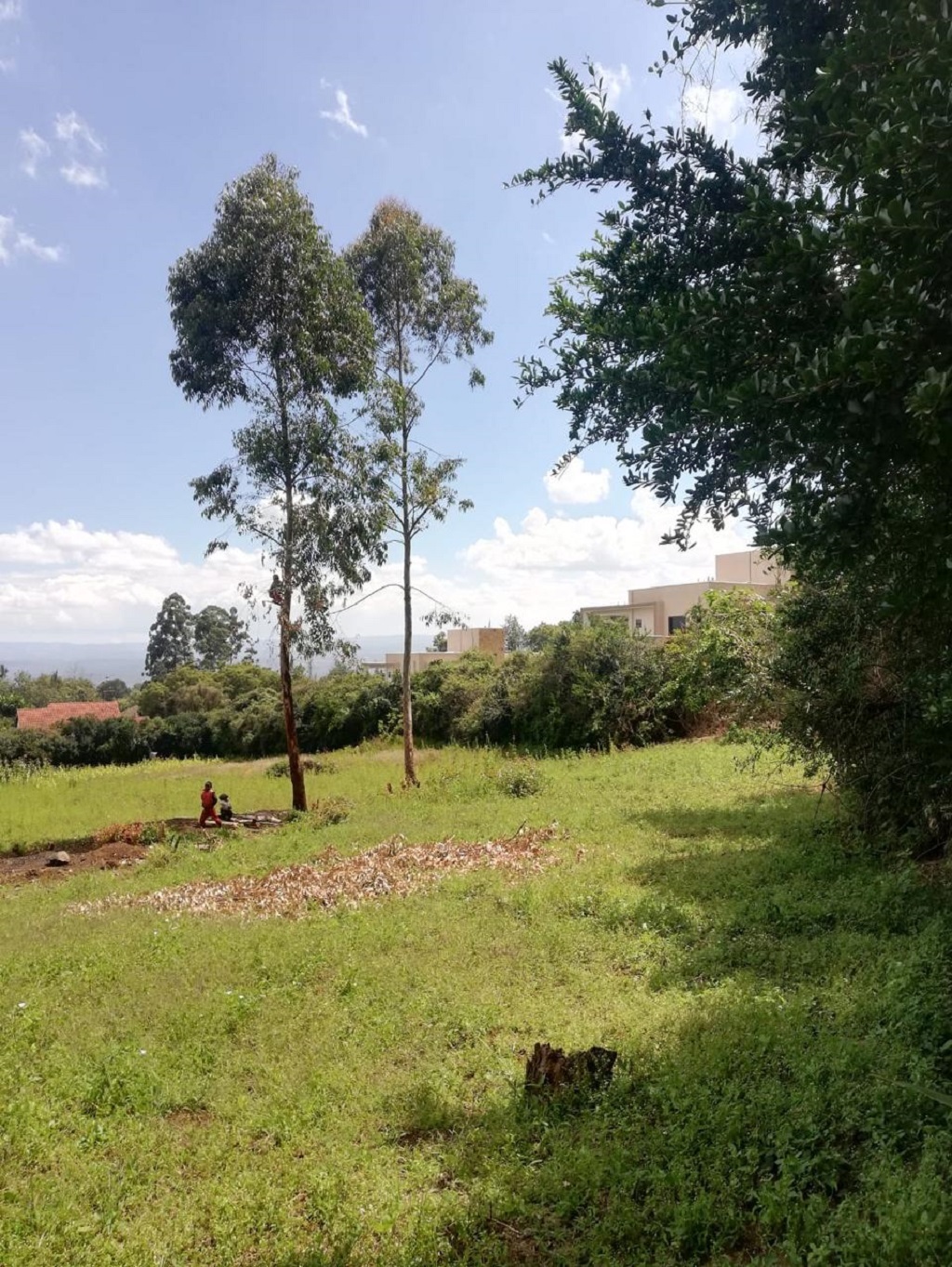 Beautiful 1-acre residential land in Milimani, Nakuru