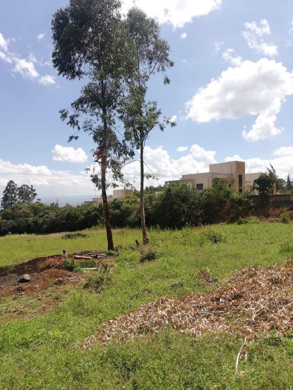 Beautiful 1-acre residential land in Milimani, Nakuru