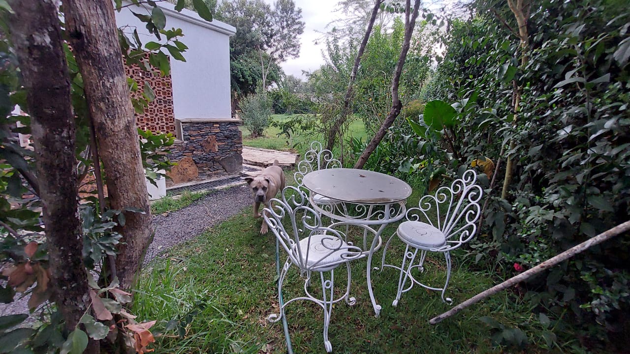 A single story house with a separate guesthouse on 0.37 acres in the private residential area of Mukima, Nanyuki