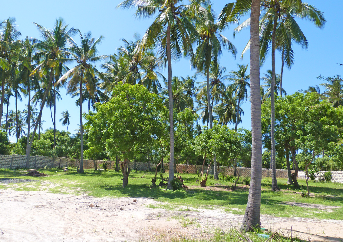 BEAUTIFUL 0.6 ACRE WALLED PLOT ON MIDA CREEK
