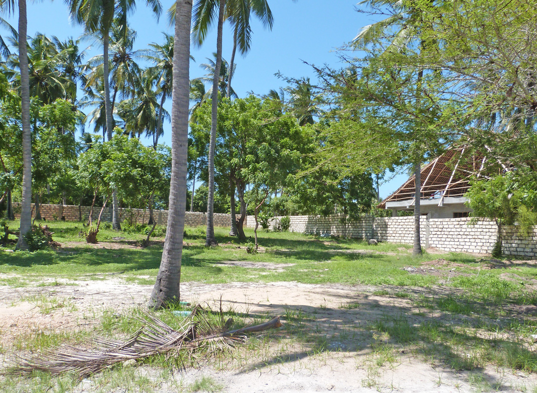 BEAUTIFUL 0.6 ACRE WALLED PLOT ON MIDA CREEK