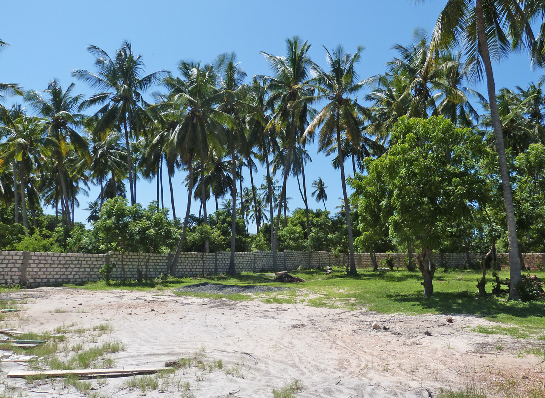 BEAUTIFUL 0.6 ACRE WALLED PLOT ON MIDA CREEK