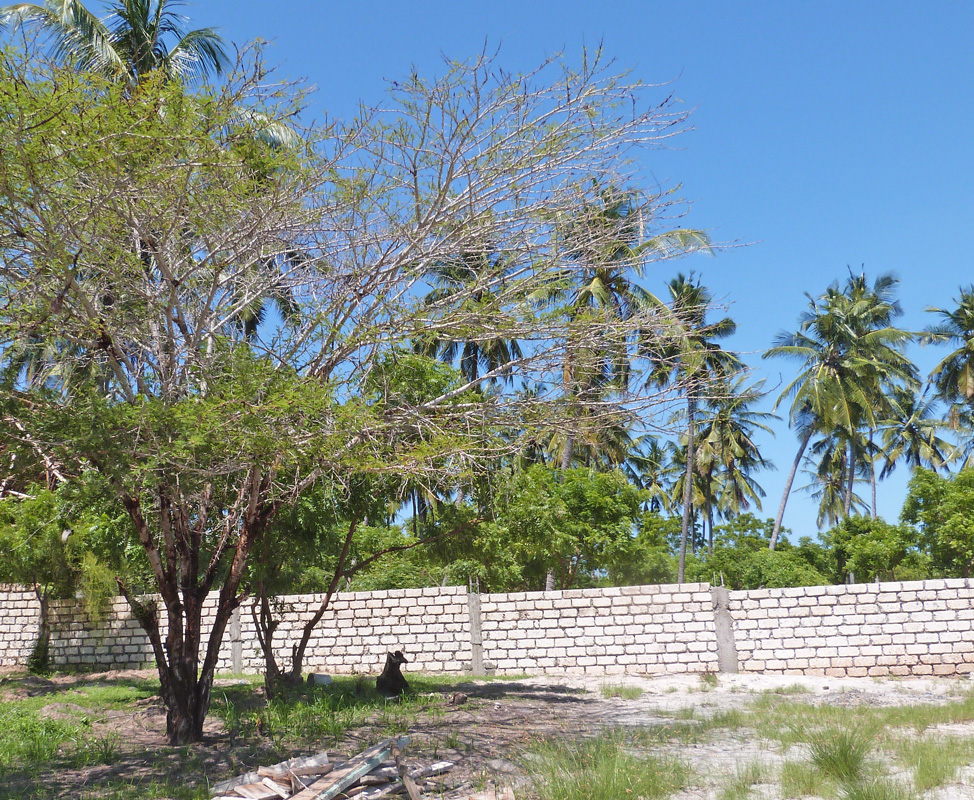 BEAUTIFUL 0.6 ACRE WALLED PLOT ON MIDA CREEK