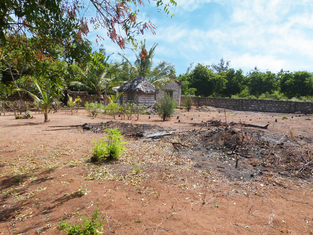 A QUARTER ACRE FREEHOLD PLOT FOR SALE
