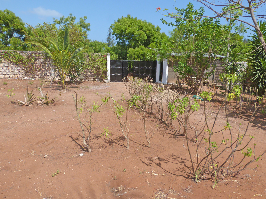 A QUARTER ACRE FREEHOLD PLOT FOR SALE