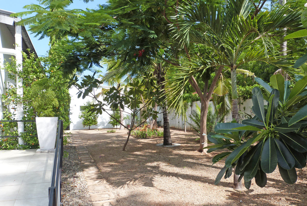 MODERN 4 BEDROOM HOUSE WITH POOL IN MIDA FOREST FOR SALE