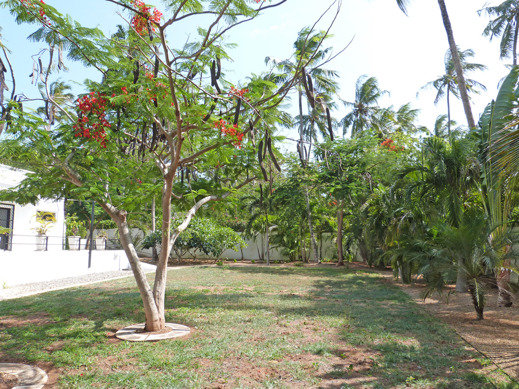 MODERN 4 BEDROOM HOUSE WITH POOL IN MIDA FOREST FOR SALE