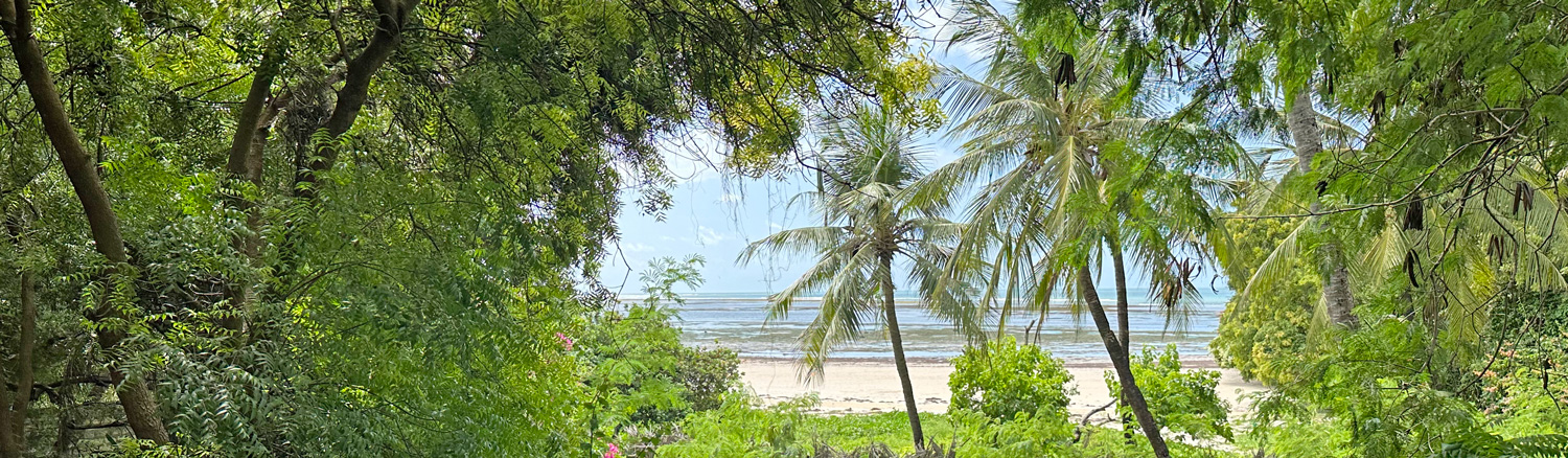 LOVELY 3.17 ACRE PLOT WITH THREE BEDROOM BEACHFRONT HOUSE IN MALINDI