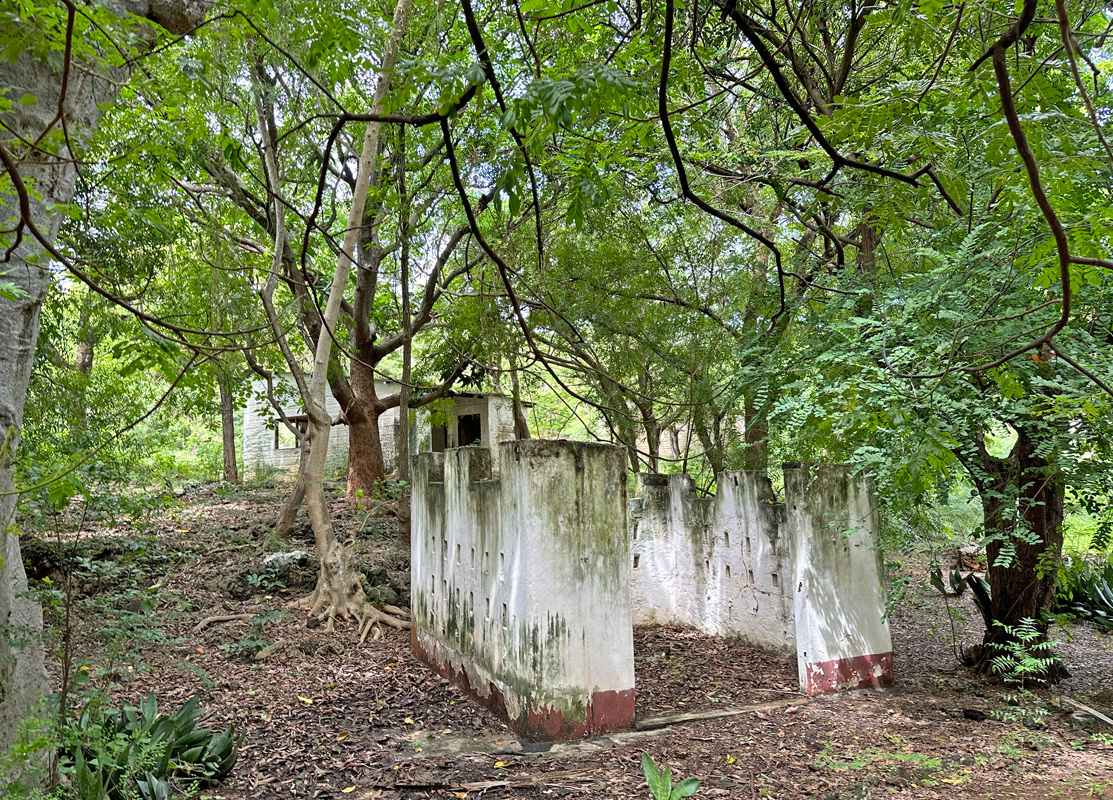 LOVELY 3.17 ACRE PLOT WITH THREE BEDROOM BEACHFRONT HOUSE IN MALINDI