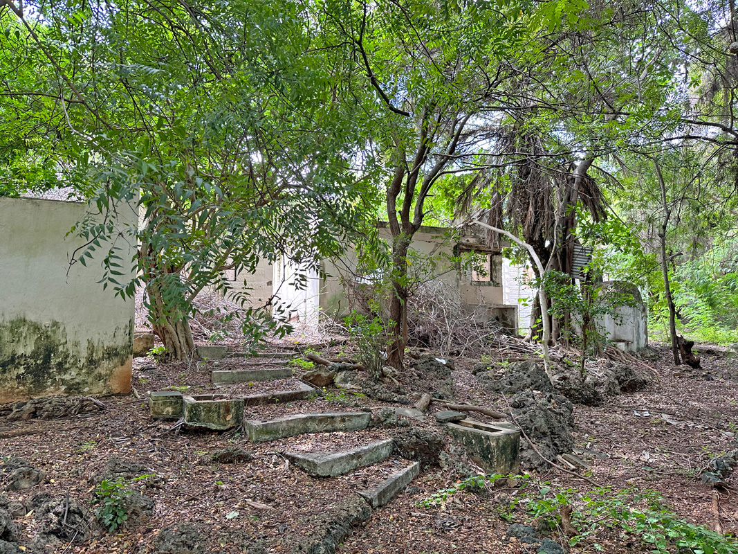 LOVELY 3.17 ACRE PLOT WITH THREE BEDROOM BEACHFRONT HOUSE IN MALINDI