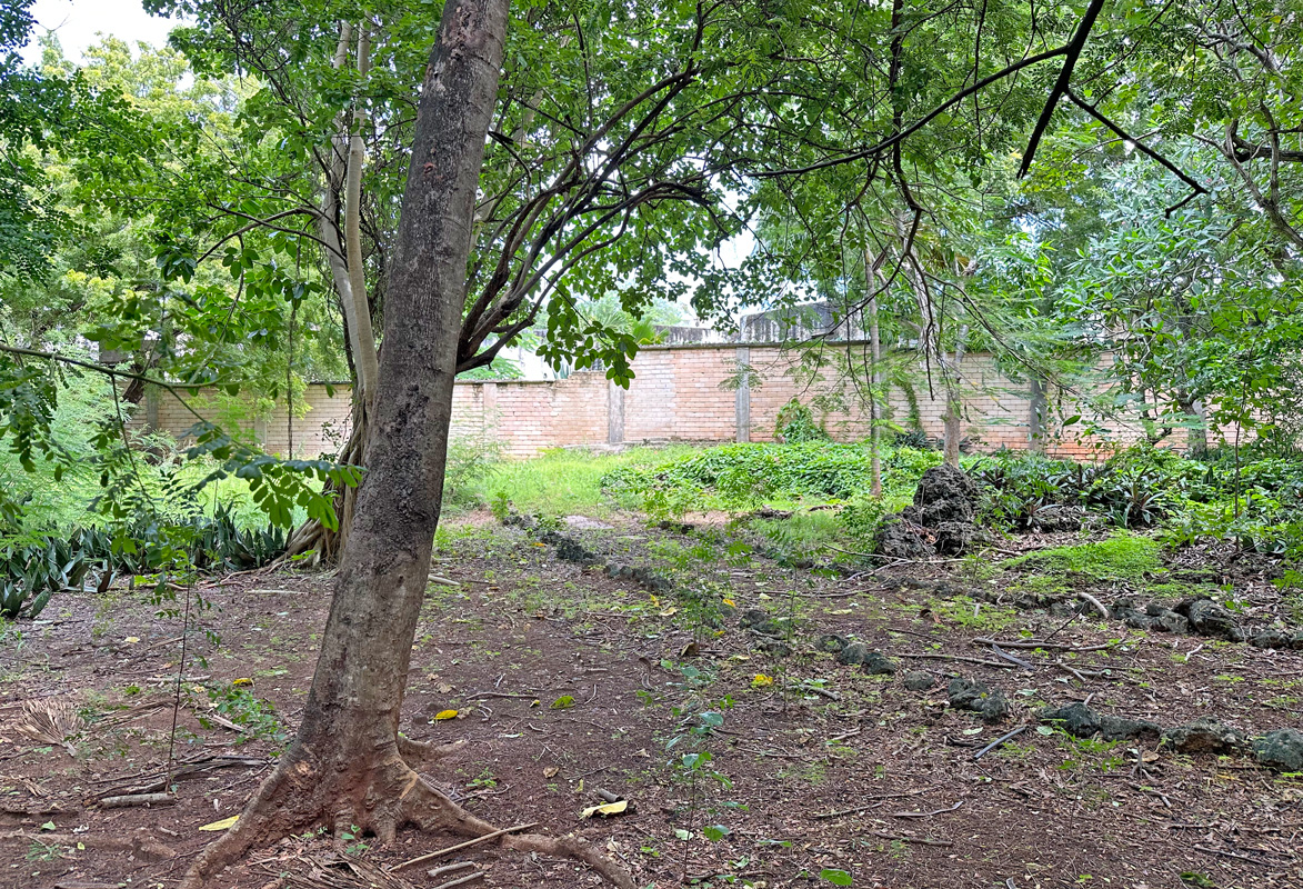 LOVELY 3.17 ACRE PLOT WITH THREE BEDROOM BEACHFRONT HOUSE IN MALINDI