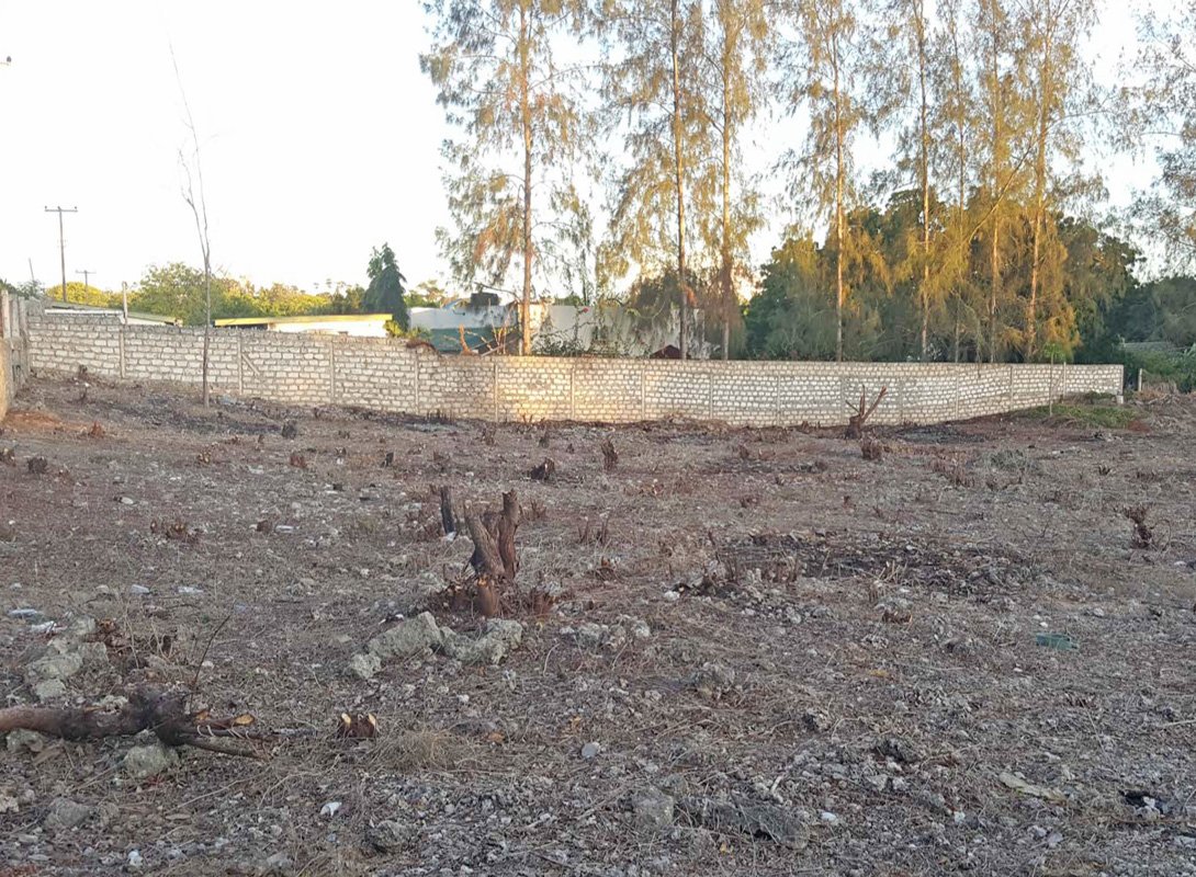2 X HALF ACRE PLOTS IN MIDA FOREST