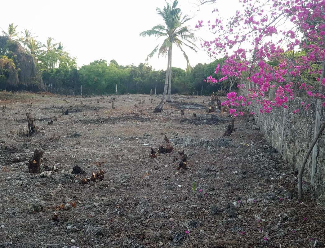 2 X HALF ACRE PLOTS IN MIDA FOREST